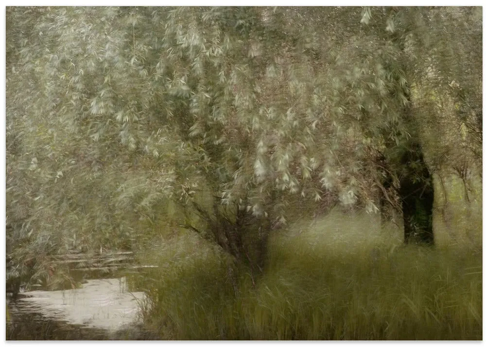 At the Riverbank by Nel Talen - Stretched Canvas, Poster or Fine Art Print