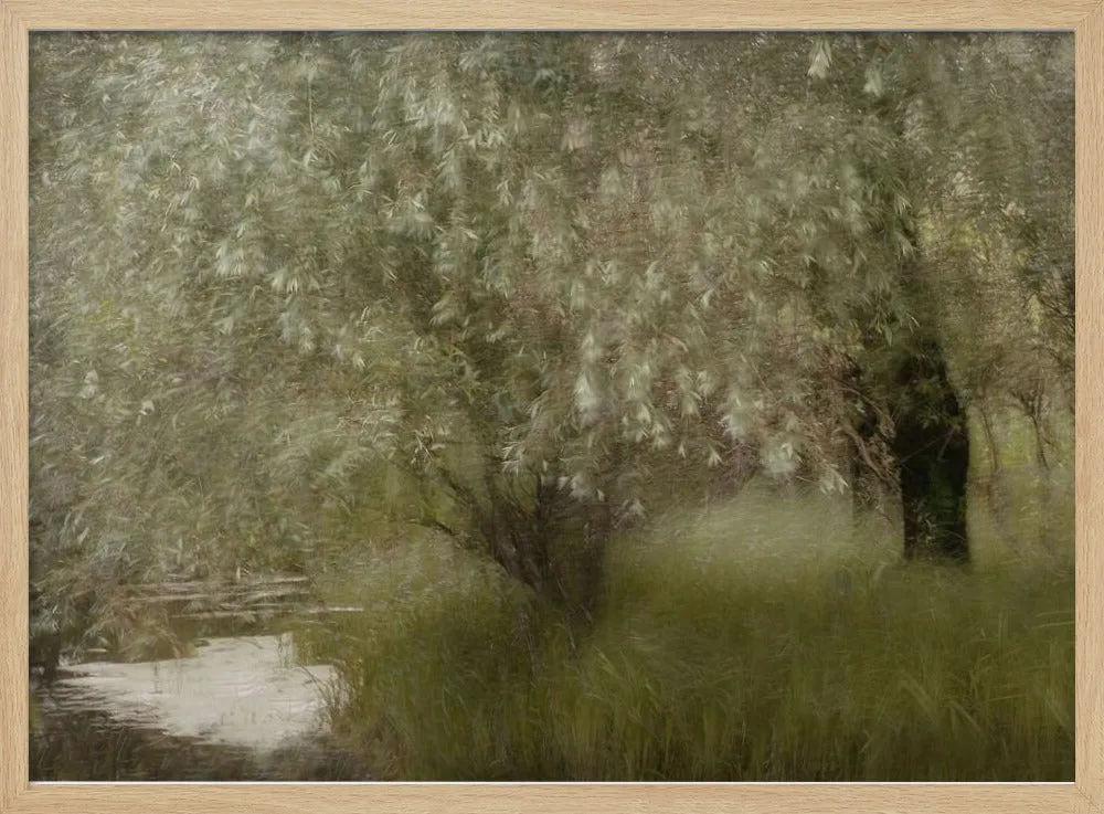 At the Riverbank by Nel Talen - Stretched Canvas, Poster or Fine Art Print