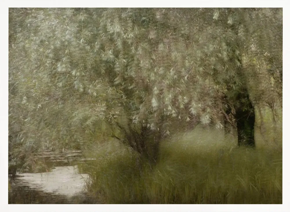 At the Riverbank by Nel Talen - Stretched Canvas, Poster or Fine Art Print