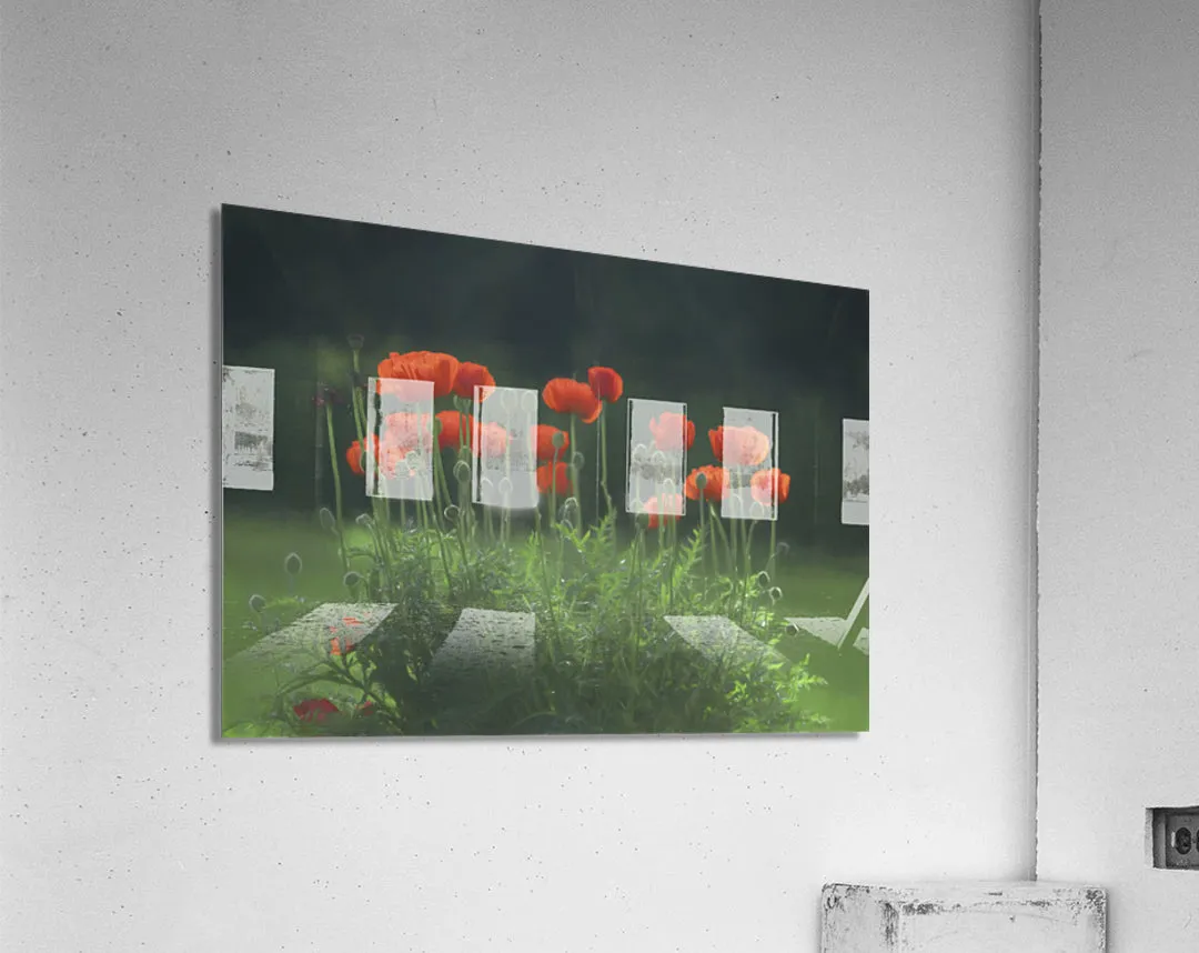 Poppies in the Rain